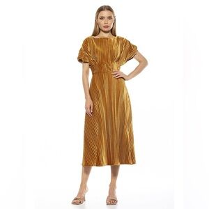 ALEXIA ADMOR Veronica Gold Pleated Velvet Midi Dress‎ size S Wedding Party Event